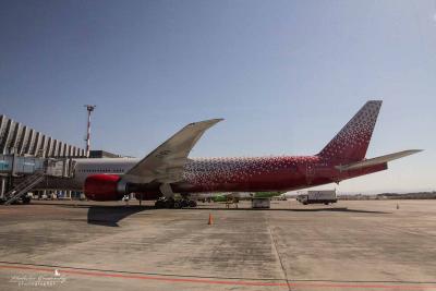 Прикрепленное изображение: _MG_6950 копия.jpg